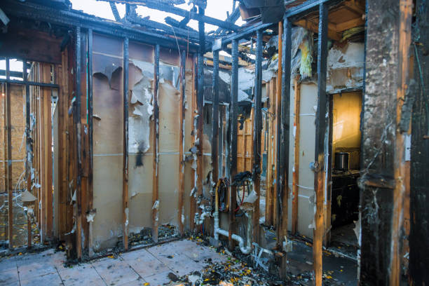 Professional Fire Damage Removal technician working in Northdale, FL